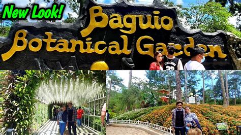 baguio zoos|BAGUIO BOTANICAL GARDEN: All You Need to .